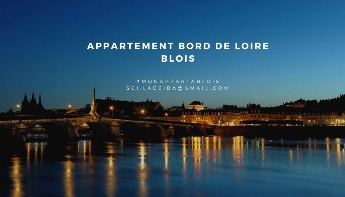 Duplex 60 M2 Bord De Loire Apartment Blois