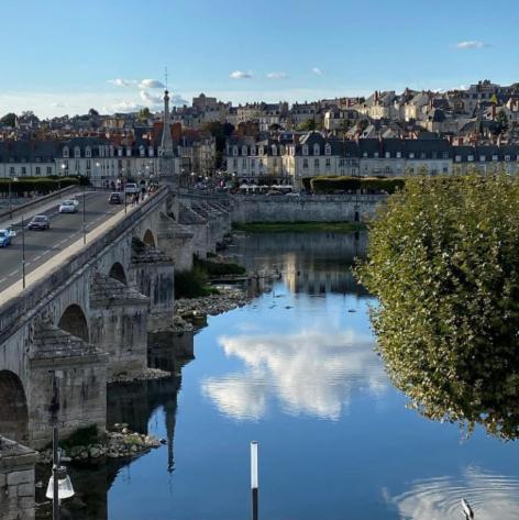 Apartment Duplex 60 M2 Bord De Loire Blois