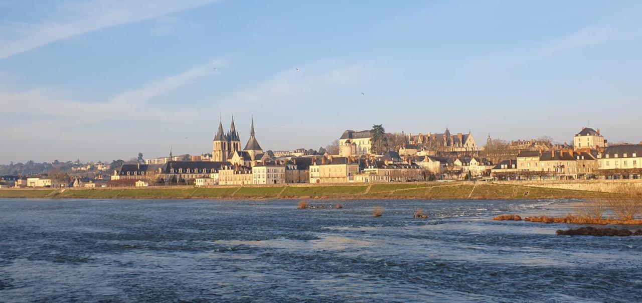 Apartment Duplex 60 M2 Bord De Loire *